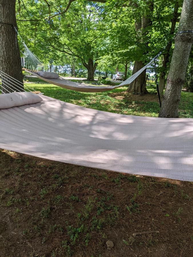 Maple Hill Manor Bed & Breakfast Springfield Bagian luar foto